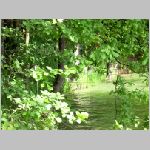 Majdalena 25.6.2008 -17.JPG